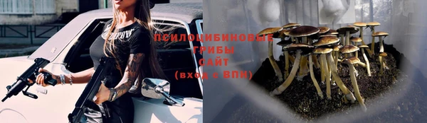 винт Гусиноозёрск