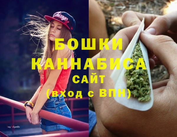 винт Гусиноозёрск