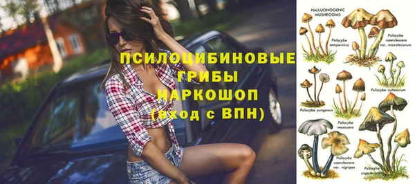 СК Гусев