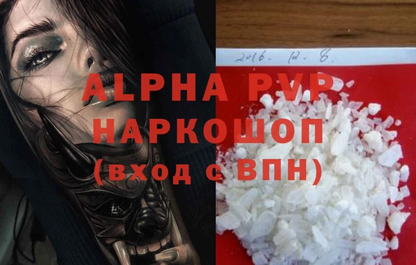 СК Гусев