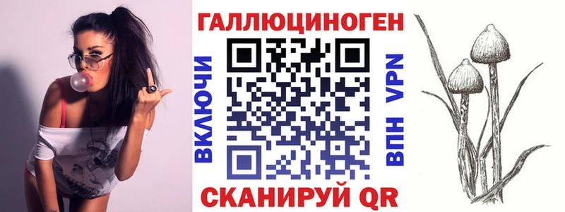 где купить наркотик  Североморск  Галлюциногенные грибы Cubensis 